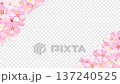 ポップな桜の背景_ループアニメーション_透過背景 137240525