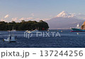 [靜岡縣] 從伊豆戶田漁港看到的富士山 137244256