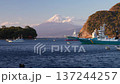 [靜岡縣] 從伊豆戶田漁港看到的富士山 137244257
