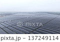 Serene Aerial View Showcasing Extensive Solar Installations With Reflective Glass Modules In Calm 137249114