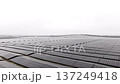 Distant Solar Array. Overcast Sky Envelops Expansive Photovoltaic Field With Hills In Background 137249418