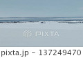 冬のサロマ湖 キムアネップ岬 雪原空撮動画 137249470