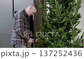Christmas tree decorating, homeowner carefully stringing festive lights along branches of lush fir inside contemporary living space 137252436