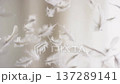 Feathers Drift Softly. Gentle Feathers Float Calmly. Delicate Plumes Gently Glide Through Air 137289141