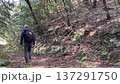 三月，一名男性登山者正沿著森林小徑下山。 137291750