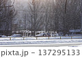 Winter Scene With Peaceful Snowfall. Serene Winter Morning With Quiet Streets And Falling Snowflakes 137295133