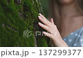 Close-up of a woman's hand touching moss on a tree in a forest. 137299377