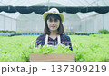 agriculture concept of 4k Resolution. Asian woman carrying vegetables with a smile in a greenhouse. Intends to deliver the best to customers. 137309219