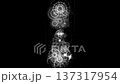 光と影の神聖幾何学｜白黒・精密ラインアート・縦構図アニメーション 137317954
