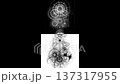 光と影の神聖幾何学｜白黒反転・精密ラインアート・縦構図アニメーション 137317955