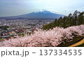 【山梨県・富士吉田市】新倉山浅間公園の丘の上から見る春の風景　桜と富士山と街並み　tilt up 137334535