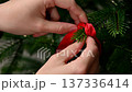 Close-up Woman's hands carefully untie a red bow from a branch of a Christmas tree, showcasing the intricate details of the festive decoration and lush green foliage 137336414