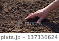 A farmer scoops up rich soil from his field in the sunlight and checks it. 137336624