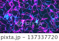 Bright lines of blue and pink light move across a dark background. The patterns create a dynamic visual effect that changes shape and form. Viewers can enjoy the colorful display. 137337720