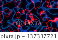Shapes and lines appear in bright red and blue on a dark surface. The design moves and changes creating an engaging visual display. It captures attention through dynamic patterns. 137337721