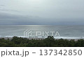 A slightly cloudy morning, the waves of the Pacific Ocean, and pine forests swaying in the wind 137342850