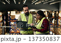 Industrial job, two workers, collaborating in warehouse, parcel distribution, package handling and inventory control management. High visibility vests for operational order efficiency. Copy space. 137350837