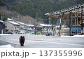 雪の残る日向東港を歩く黒猫 （福井県三方郡美浜町, 2026年2月） 137355996
