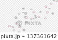 中央に桜の花びらが散るアニメーション_透過背景 137361642