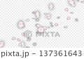 中央に桜の花と花びらが散るアニメーション_透過背景 137361643