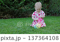 Baby girl playing with colorful toy on green lawn and crawling away 137364108
