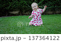 Baby girl crawling on green lawn in backyard smiling at camera 137364122