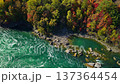 Aerial view of Niagara River shoreline with autumn forest and rapids between United States and Canada 137364454