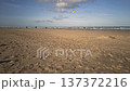 Low-angle wide shot of a person kitesurfing on a sunny beach. The kite moves dynamically through the clear blue sky while the rider glides. Bright daylight, wind-filled kite,. 137372216