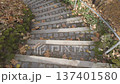 Stone steps with metal handrail surrounded by fallen yellow leaves and green ivy vines 137401580