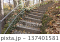 Stone steps with metal handrail surrounded by fallen yellow leaves and green ivy vines 137401581