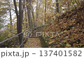 Stone steps with metal handrail surrounded by fallen yellow leaves and green ivy vines 137401582