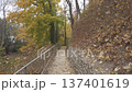 Scenic walk on a narrow trail through tall trees and golden fallen autumn leaves 137401619