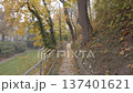Scenic walk on a narrow trail through tall trees and golden fallen autumn leaves 137401621
