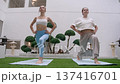 Two young athletic women hold standing yoga pose on mats in courtyard with bonsai trees. Arms reach overhead while legs lunge forward showing balance and strength. 137416701