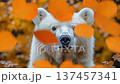 White bear interacting with falling autumn leaves in a vibrant forest setting 137457341
