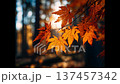 Autumn leaves gently swaying in the breeze, showcasing vibrant colors and natural beauty 137457342