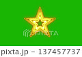 Blinking multi-layered star animation on a green screen background, featuring glowing layered star shapes that pulse and sparkle, perfect for magical effects, festive visuals, and motion graphics comp 137457737