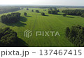 Drone view of countryside. Fields and forests in summer.  137467415