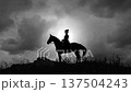 queen victoria on horse silhouette at dusk 137504243