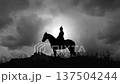 otto von bismarck on horse silhouette against sky 137504244