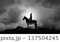 napoleon bonaparte on horse silhouette at dusk 137504245