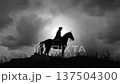 tsar peter the great on horse silhouette against sun 137504300