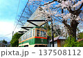 Old Sendai streetcar and cherry blossoms (Akiu Onsen) [Akiu Town, Sendai City, Miyagi Prefecture] 137508112
