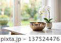 Meditation singing bowl vibration on marble table with white orchid flower in daylight calm home interior zen decor peaceful focus stillness and gentle vibration near window light 137524476