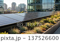 Green business solar panel office roof garden sustainable energy modern glass building reflection urban city background clean power rooftop garden eco friendly corporate space 137526600