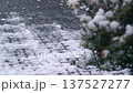 it's snowing  137527277