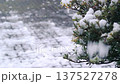 it's snowing  137527278