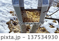 Bird feeder filled with seed mix in snowy park, winter wildlife care, outdoor bird feeder and seasonal landscape close-up. 137534930