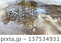 A reflection of a forest in a melting puddle of snow near the sidewalk, an early spring thaw, icy slush, and landscapes of different seasons. 137534931
