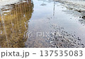Spring puddle of melt water on a rural road with forest reflection, seasonal thaw, wet asphalt texture and early spring background. 137535083